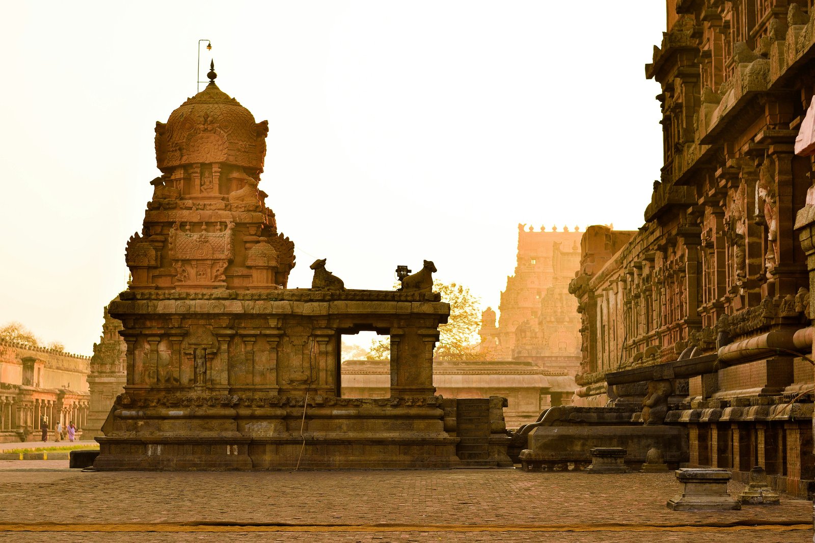 Spiritual Tour Rajasthan