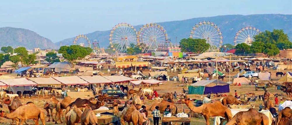 Pushkar Fair Ground